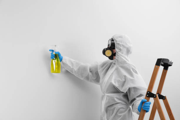 Best Basement Mold Removal  in Welsh, LA